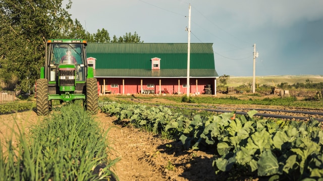 Farm with barn